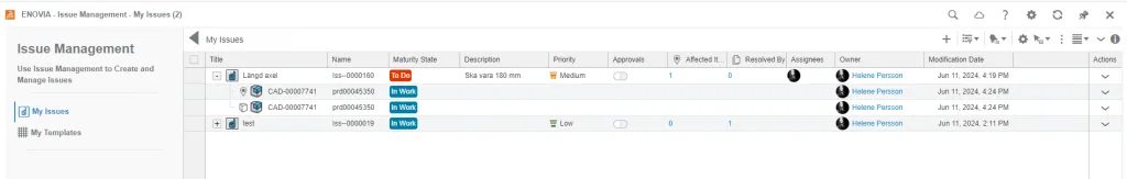Issue Management 