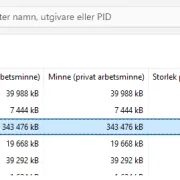 GDI objekt som används av processerna på datorn.